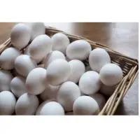 White Eggs